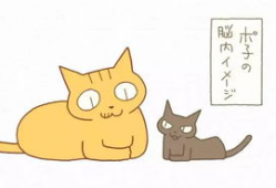 喵星人漫画,萌宠日常，欢乐满溢